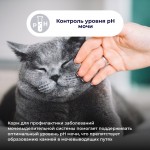 Купить Jarvi Preventive diet line Urinary пауч для кошек для профилактики заболеваний МКБ (соус) Jarvi в Калиниграде с доставкой (фото 4)