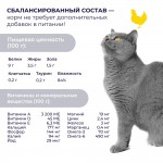 Купить Jarvi Preventive diet line Urinary пауч для кошек для профилактики заболеваний МКБ (соус) Jarvi в Калиниграде с доставкой (фото 6)