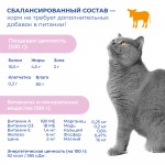 Купить Jarvi Extra meat line пауч для котят (кусочки в соусе) Jarvi в Калиниграде с доставкой (фото 5)