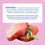 Купить Jarvi Extra meat line пауч для котят (кусочки в соусе) Jarvi в Калиниграде с доставкой (фото 3)