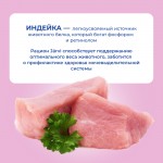 Купить Jarvi Extra meat line пауч для стерилизованных кошек (кусочки в желе) Jarvi в Калиниграде с доставкой (фото 3)