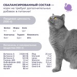 Купить Jarvi Preventive diet line Gastrointestinal пауч для кошек для профилактики заболеваний ЖКТ (соус) Jarvi в Калиниграде с доставкой (фото 6)