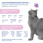Купить Jarvi Extra meat line пауч для стерилизованных кошек (кусочки в желе) Jarvi в Калиниграде с доставкой (фото 5)