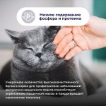 Купить Jarvi Preventive diet line Gastrointestinal пауч для кошек для профилактики заболеваний ЖКТ (соус) Jarvi в Калиниграде с доставкой (фото 4)