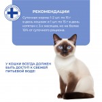Купить Jarvi крем-суп с мясом курицы и филе тунца для кошек и котят Jarvi в Калиниграде с доставкой (фото 6)