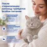 Купить Jarvi сухой полнорационный корм для стерилизованных кошек и кастрированных котов Jarvi в Калиниграде с доставкой (фото 1)