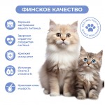 Купить Jarvi пауч для кошек для красивой шерсти и здоровой кожи (кусочки в соусе) Jarvi в Калиниграде с доставкой (фото 3)