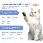 Купить Jarvi пауч для кошек для красивой шерсти и здоровой кожи (кусочки в соусе) Jarvi в Калиниграде с доставкой (фото 2)