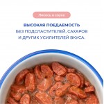 Купить Jarvi пауч для кошек для красивой шерсти и здоровой кожи (кусочки в соусе) Jarvi в Калиниграде с доставкой (фото 4)