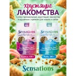 Купить Лакомство сухое для кошек PINK Sensation Хрустящие подушечки с лососем 100г Pink в Калиниграде с доставкой (фото 5)