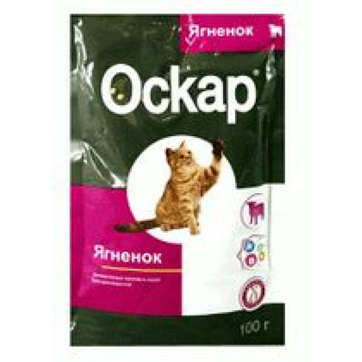 Катико Зоомагазин Калининград Интернет Магазин