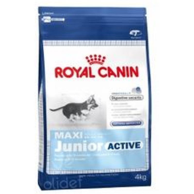 royal canin maxi junior active, корм для щенков с высокими энергетическими потребностями с 2 до 15/18 мес  15 кг