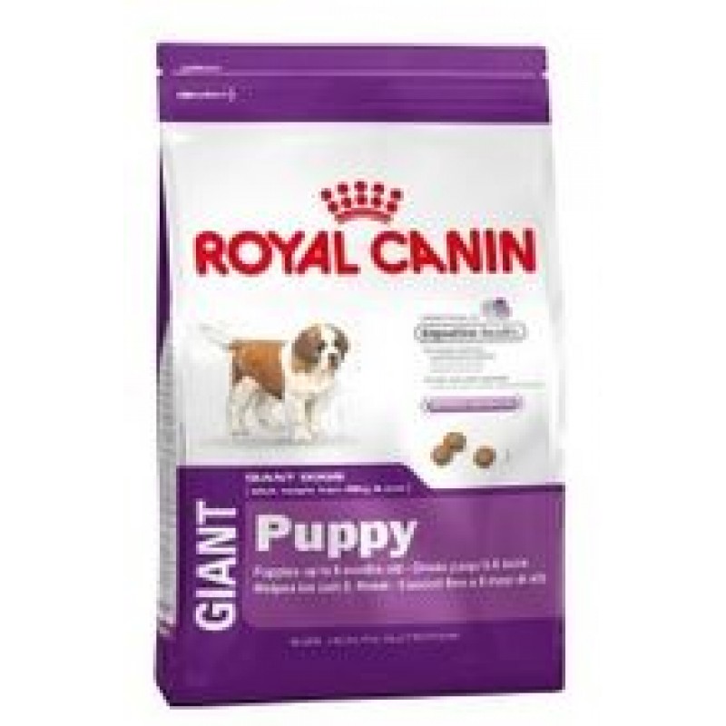 royal canin giant puppy, питание для щенков с 2 до 8 месяцев, 3.5 кг