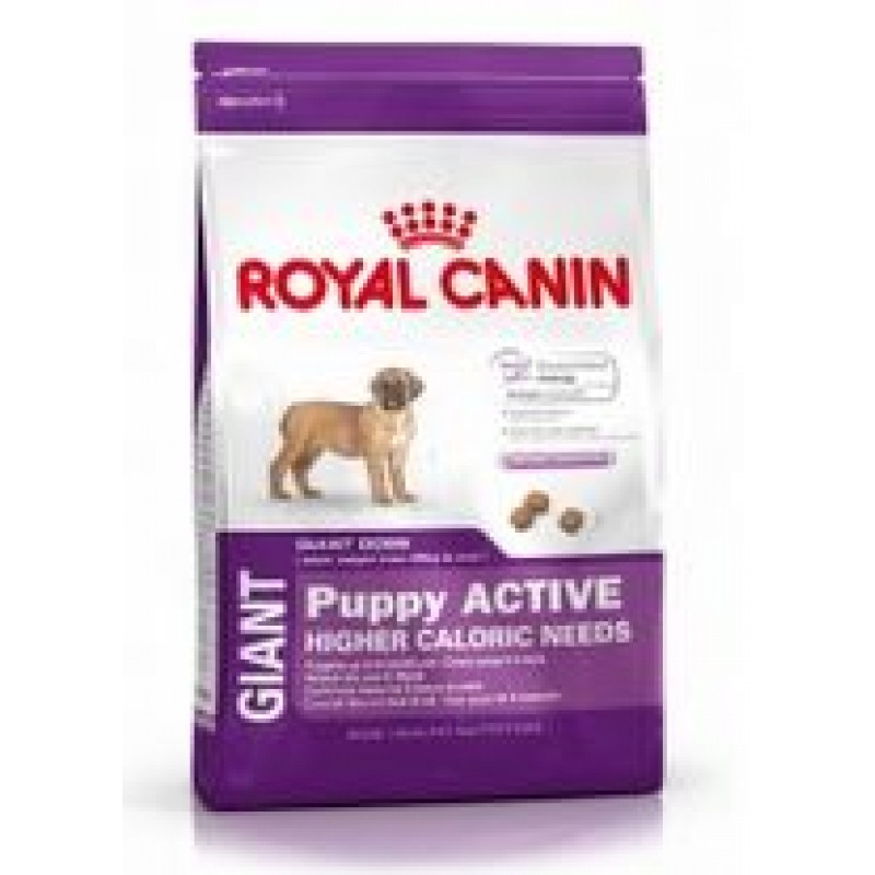 royal canin giant puppy active,  с 2 до 8 месяцев, 15 кг