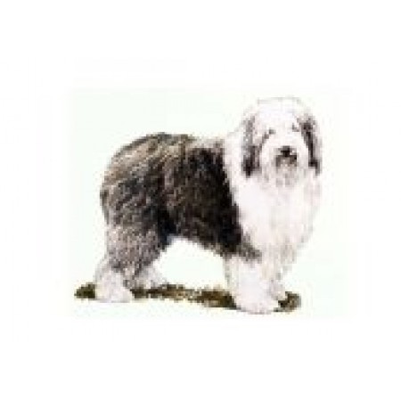 Сухие корма для собак Royal Canin (Роял Канин) Здоровое питание для собак крупных размеров, от 25 до 45 кг