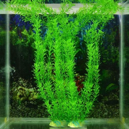 Искусственные и живые растения для аквариума