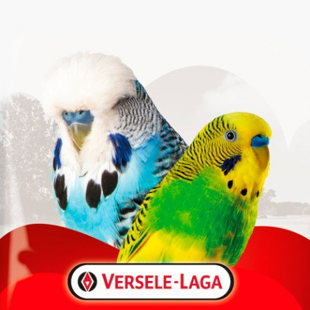 Корм для птиц VERSELE-LAGA (Бельгия)