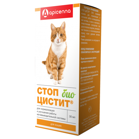 Лечебные препараты для кошек при проблемах с почками