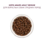 Купить Сухой корм AWARD для средних собак с индейкой, курицей, морковью и смородиной, 2кг AWARD в Калиниграде с доставкой (фото 6)