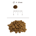 Blitz Sensitive «Говядина» сухой корм для взрослых кошек 10 кг Blitz Sensitive «Говядина» сухой корм для взрослых кошек 10 кг