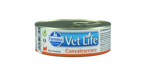 Влажный корм Farmina Vet Life Convalescence для взрослых кошек в ...