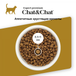 Купить Сухой корм премиум-класса Chat&Chat Expert Premium Adult с курицей для взрослых кошек 900 гр Chat&Chat в Калиниграде с доставкой (фото 1)