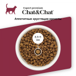 Купить Сухой корм премиум-класса Chat&Chat Expert Premium Adult с говядиной для взрослых кошек 900 гр Chat&Chat в Калиниграде с доставкой (фото 1)