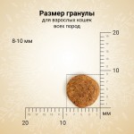 Купить Сухой ультрапремиум корм CRAFTIA HARMONA для взрослых кошек из утки и индейки 320 г Craftia в Калиниграде с доставкой (фото 1)