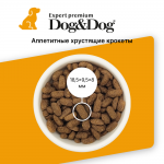 Купить Dog&Dog Expert Premium Fit-Maintenance сухой корм для взрослых собак, для контроля веса, с курицей, 3 кг Dog&Dog в Калиниграде с доставкой (фото 1)