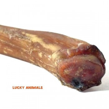 Лакомство для собак Lucky Animals Корень бычий 60-65 см