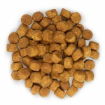 Сухой корм Hill's Science Plan Puppy Large Breed Healthy Development для щенков крупных пород - курица (Хилс SP) 2.5 кг