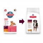 Сухой корм Hill's Science Plan для взрослых собак крупных пород для поддержания здоровья суставов и мышечной массы, с ягненком и рисом 2.5 кг