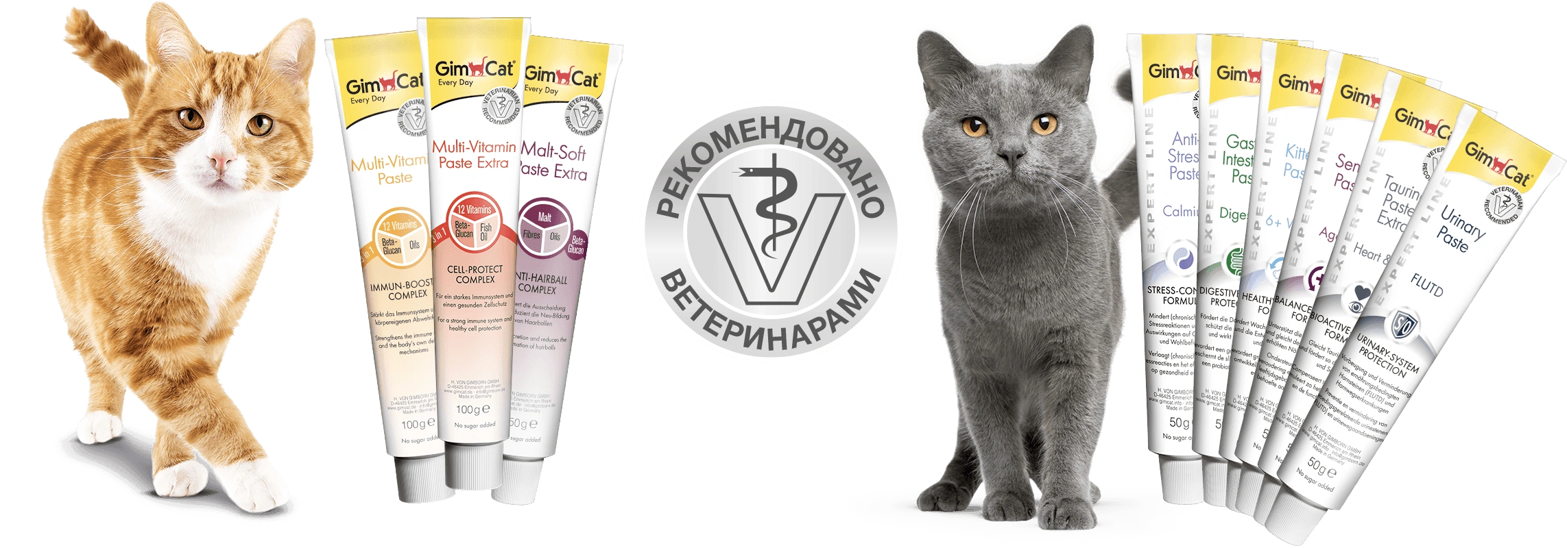 Как дать кошке пасту. Мультивитаминная паста для кошек GIMCAT Multi-Vitamin paste Extra, 200 гр. Мальт паста для кошек Джим Кэт. GIMCAT 40гр витамины для кошек для кожи и шерсти "скин и Коат табс". Gym Cat витамины для кошек.