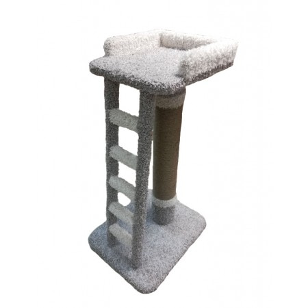 Когтеточка Лестница