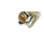 Купить M-PETS Миска для собак ECO Bamboo, бамбук, 300 мл M-Pets в Калиниграде с доставкой (фото 2)