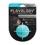 Купить Playology хрустящий жевательный мяч SQUEAKY CHEW BALL 6 см с пищалкой и с ароматом арахиса, голубой Playology в Калиниграде с доставкой (фото 1)