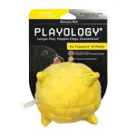 Купить Playology сенсорный плюшевый мяч для щенков PUPPY SENSORY BALL 11 см с ароматом курицы, желтый Playology в Калиниграде с доставкой (фото 1)