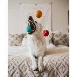 Купить Playology хрустящий жевательный мяч SQUEAKY CHEW BALL 6 см с пищалкой и с ароматом курицы, желтый Playology в Калиниграде с доставкой (фото 16)