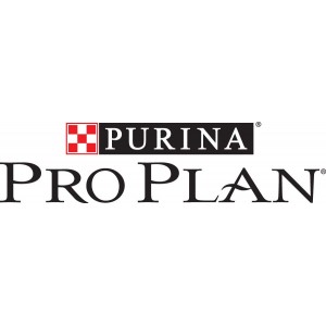 Pro Plan