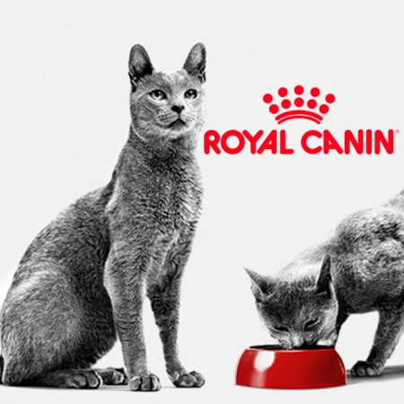 Влажные корма (консервы) для кошек Royal Canin (Роял Канин)