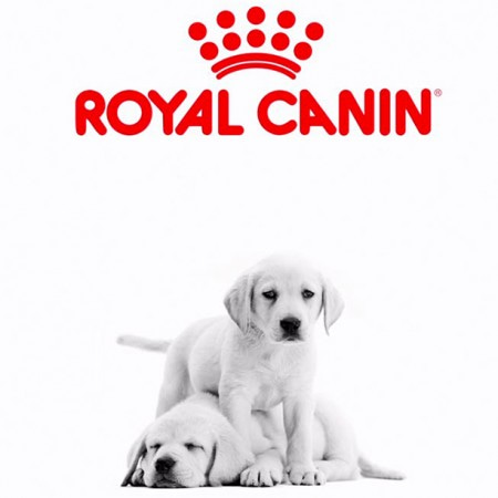 Сухие корма для собак Royal Canin (Роял Канин)