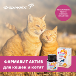 Купить Витаминно-минеральный комплекс Фармавит Актив для кошек и котят, 60 таблеток Фармавит в Калиниграде с доставкой (фото 1)