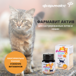 Купить Витаминно-минеральный комплекс Фармавит Актив для кастрированных котов и кошек, 60 таблеток Фармавит в Калиниграде с доставкой (фото 1)