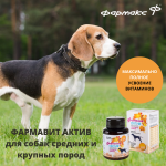 Купить Витаминно-минеральный комплекс Фармавит Актив для собак средних и крупных пород, 120 таблеток Фармавит в Калиниграде с доставкой (фото 1)
