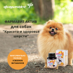 Купить Витаминно-минеральный комплекс Фармавит Актив для собак Красота и здоровье шерсти, 120 таблеток Фармавит в Калиниграде с доставкой (фото 1)