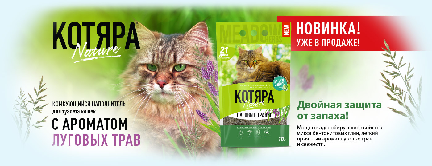 купить Наполнитель для кошачьего туалета Котяра с бесплатной доставкой в Калининграде