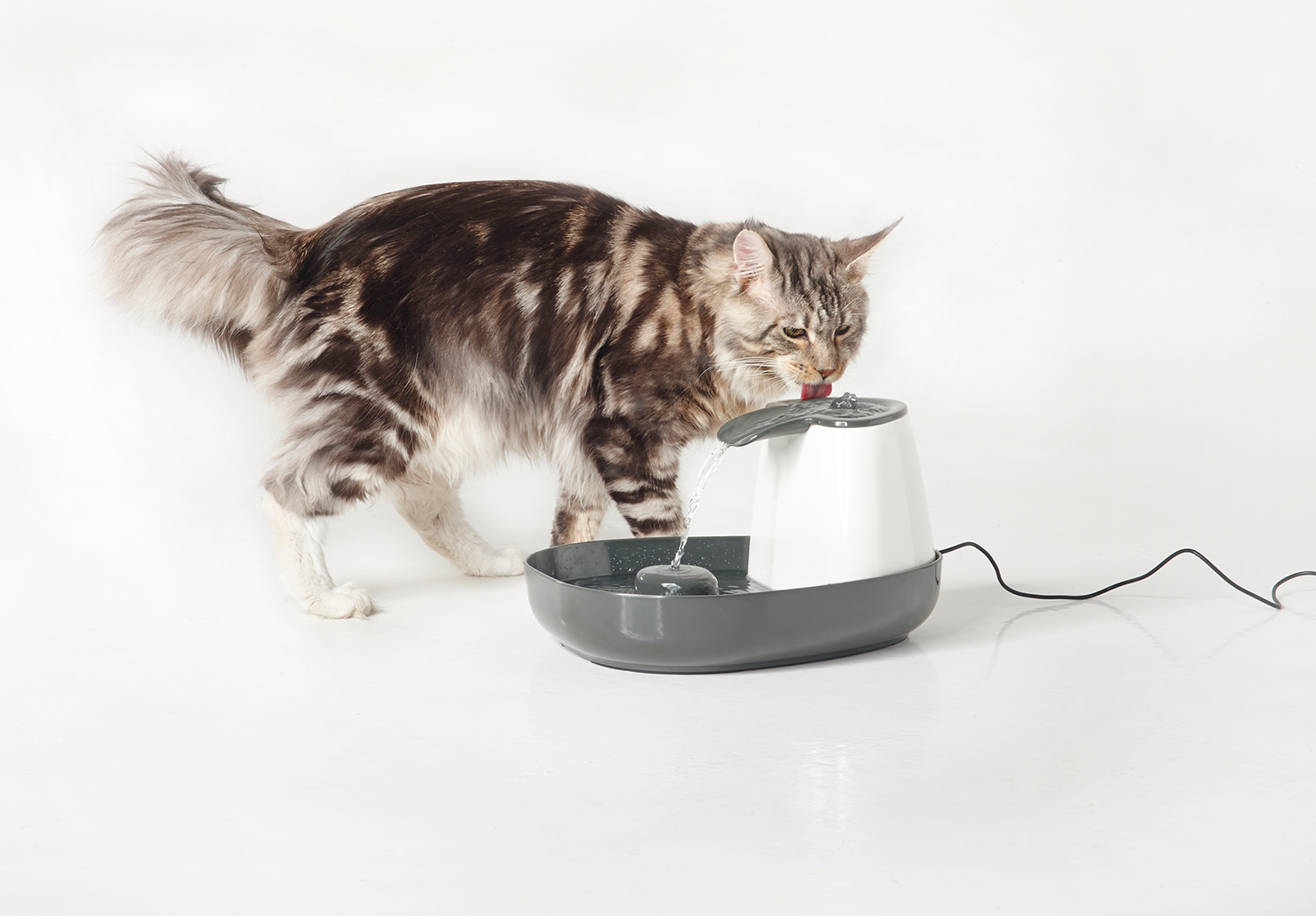 серый питьевой фонтанчик для домашних животных