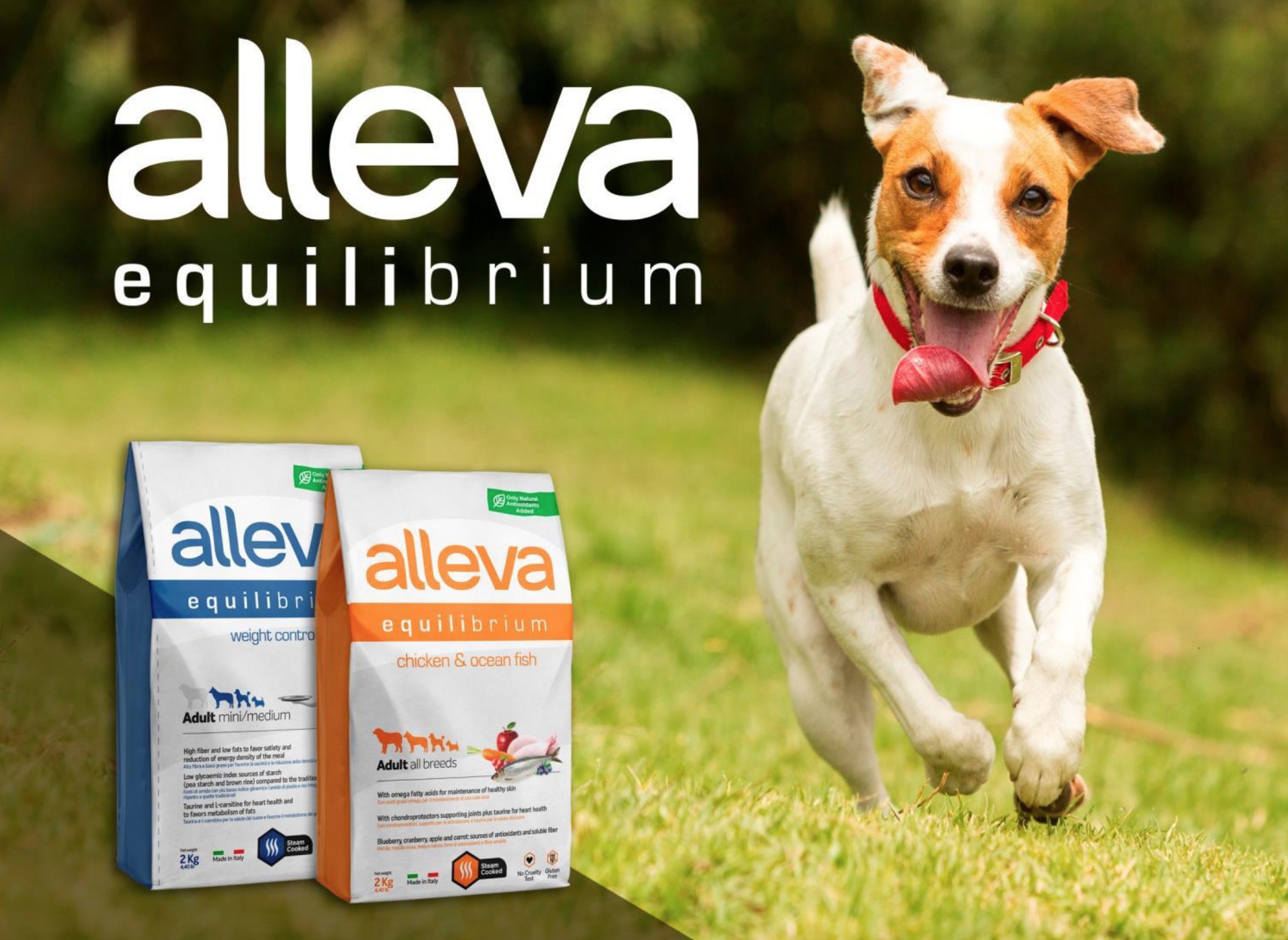 купить Сухой корм Alleva Equilibrium для собак (Италия) с бесплатной доставкой в Калининграде
