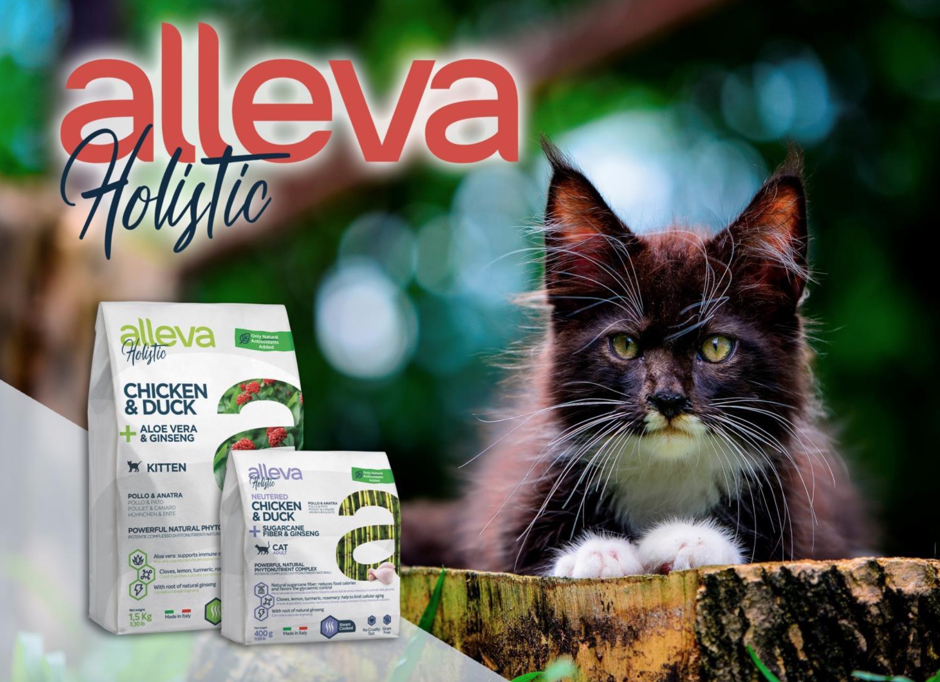 купить Сухой корм Alleva Holistic для кошек (Италия) с бесплатной доставкой в Калининграде