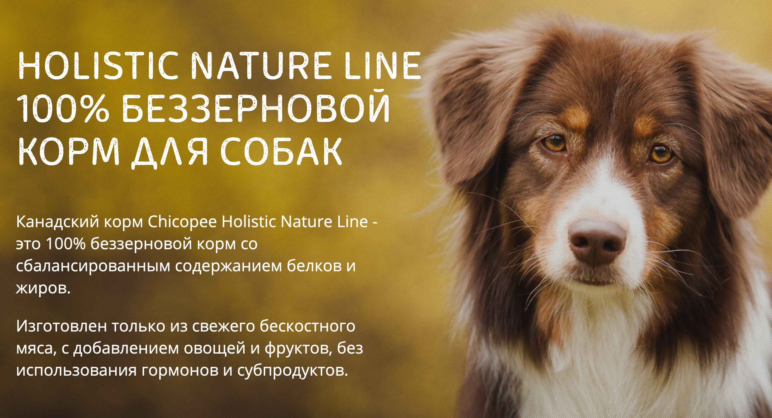 купить Сухой корм Chicopee для собак в Калининграде